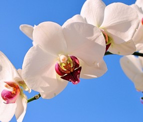 长春正规助孕捐卵机构，附正规捐卵机构报名表！